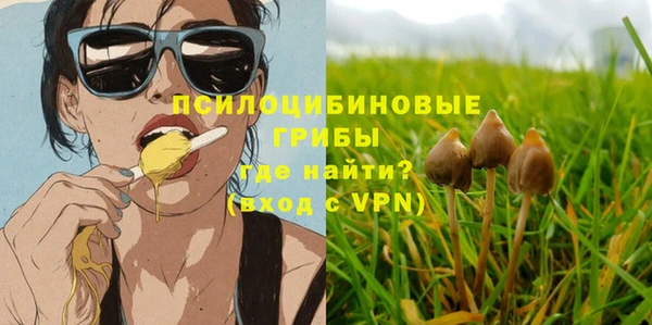 тгк Армянск